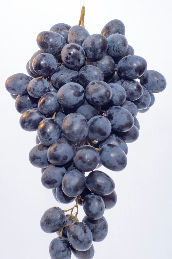 Grapes