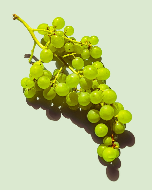 Grapes